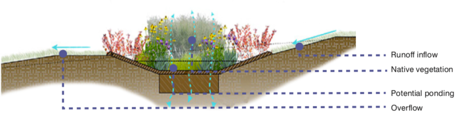 focalpoint bioretention system