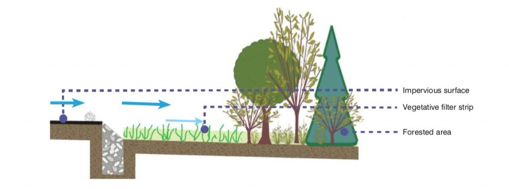 NJ Developers Green Insfrastructure Guide | Vegetative Filter Strip